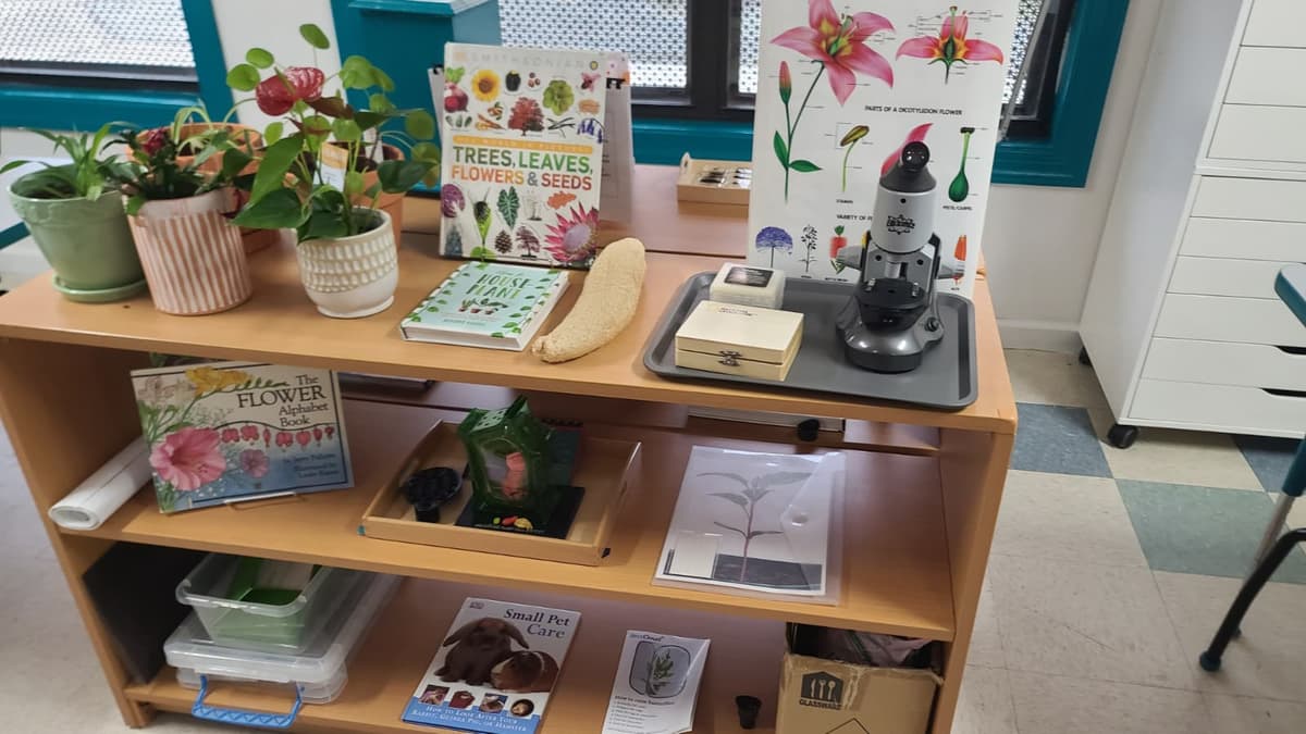 Our prepared environment featuring botany materials, microscope, and nature study resources